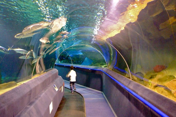 astana%20aquarium.jpg