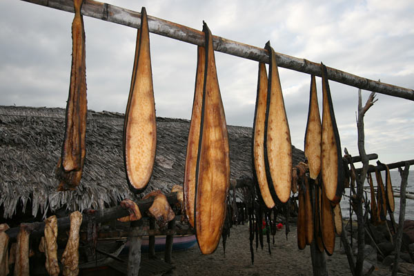 dried whale meat