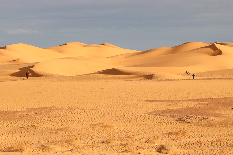 Sand Dunes in Grand Erg Occidental