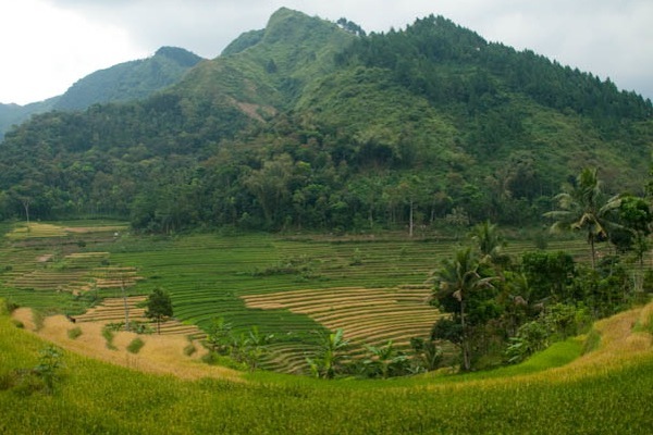 Exploring farmland