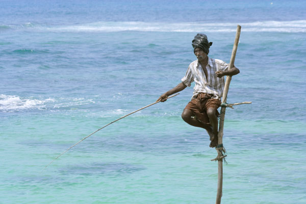 Stilt fishermen