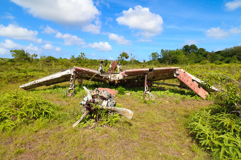 Plane Wreck and Anti-aircraft Gun Japanese 