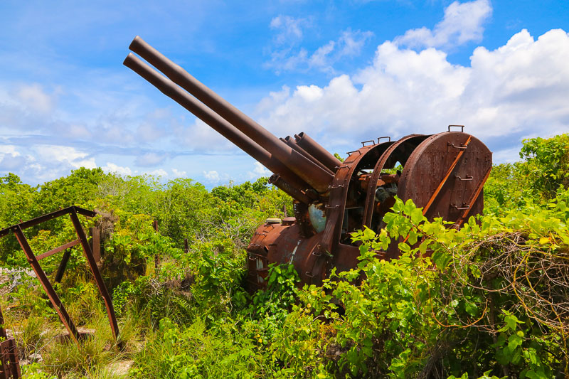 Japanese Gun from WWII