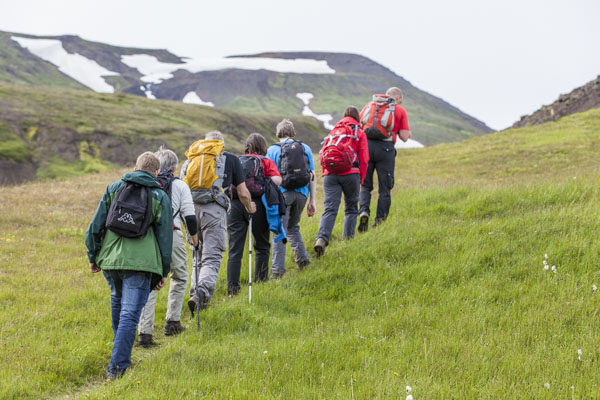 Hiking in the Eastfjords