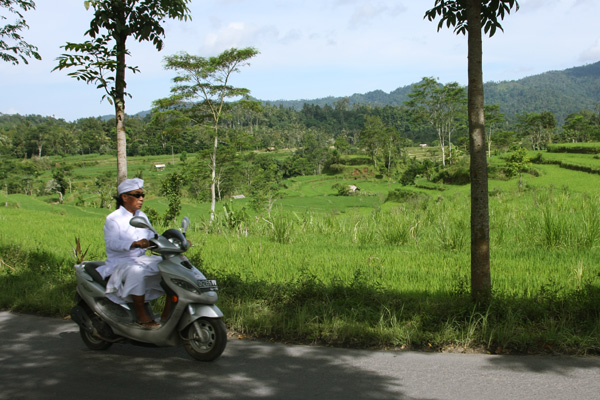 Bali road