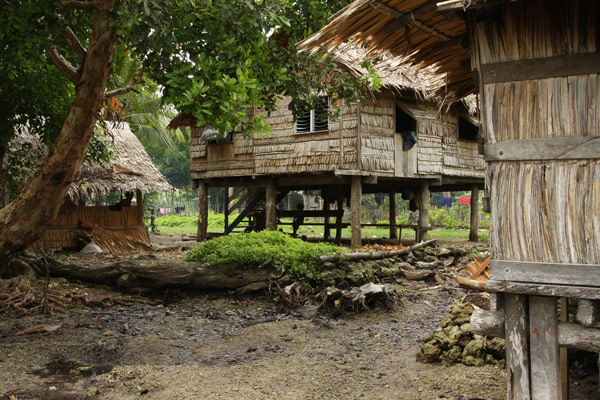 village huts