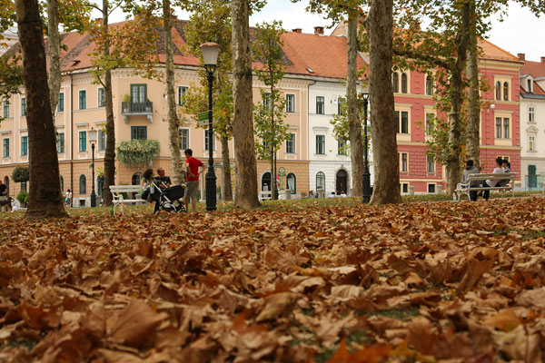 Kongresni square