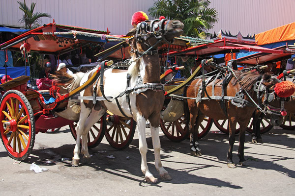 Horse cart in Medan