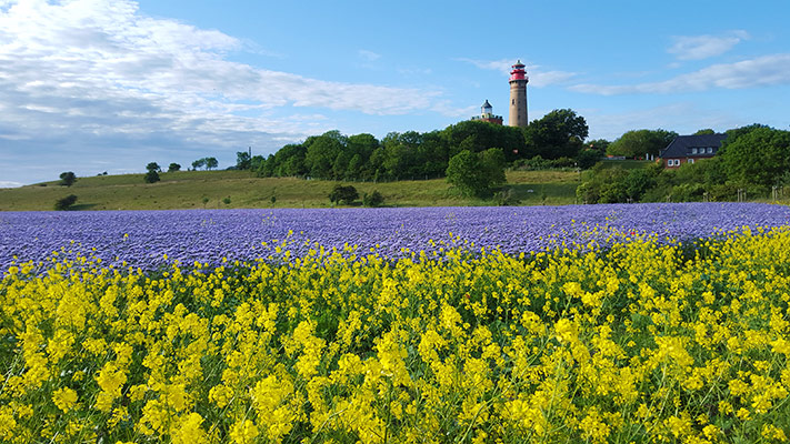 Rügen