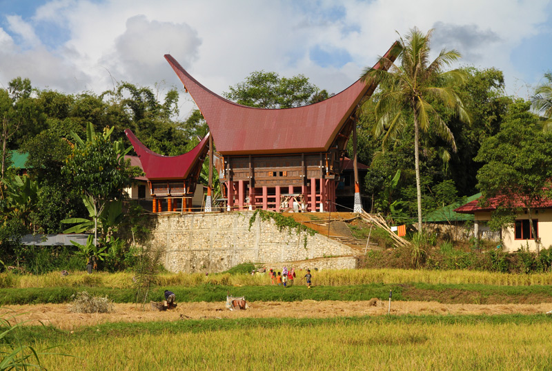 Tana Toraja