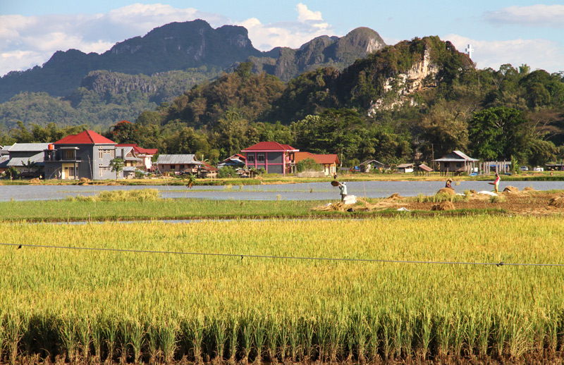 Tana Toraja