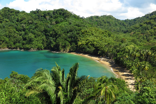 Englishman's Bay Beach