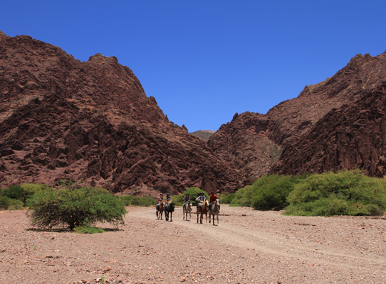 Horse riding in Tupiza