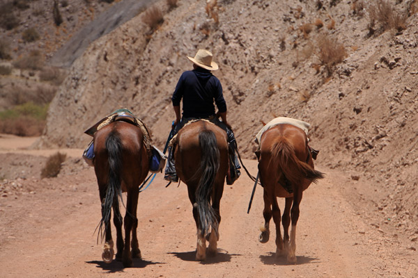 Tupiza cowboy