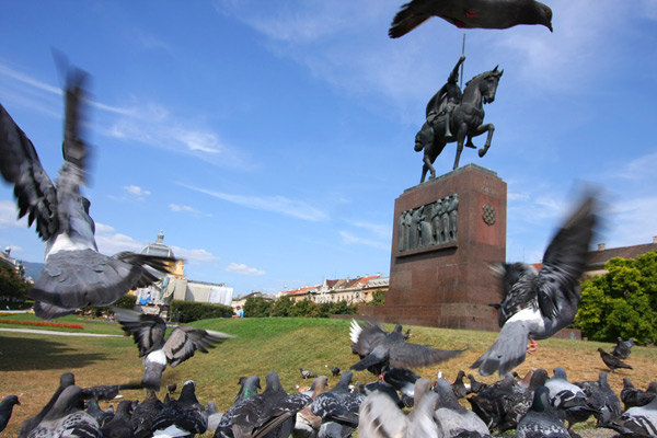 kralja Tomislava square