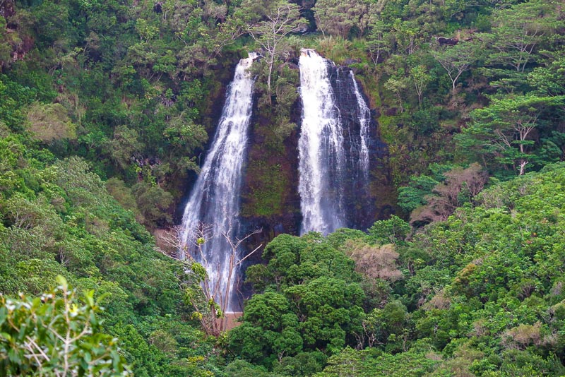 Opaeka'a Falls 2796