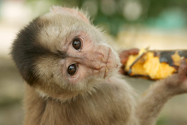 Puerto Misahualli